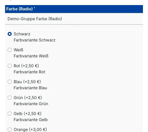 Optionsgruppe mit Aufpreisen im Shop