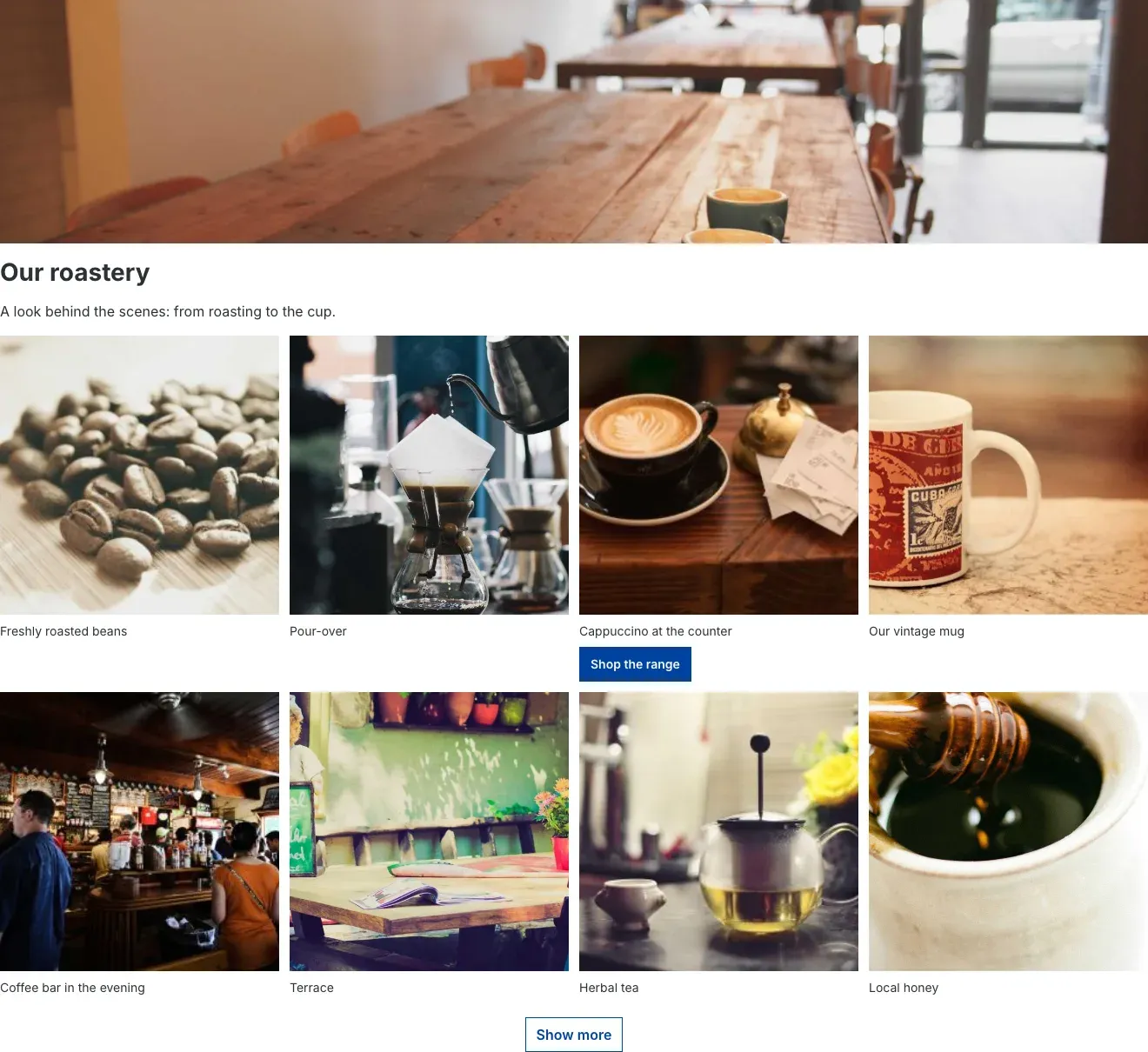 Gallery as grid with title image and Show more