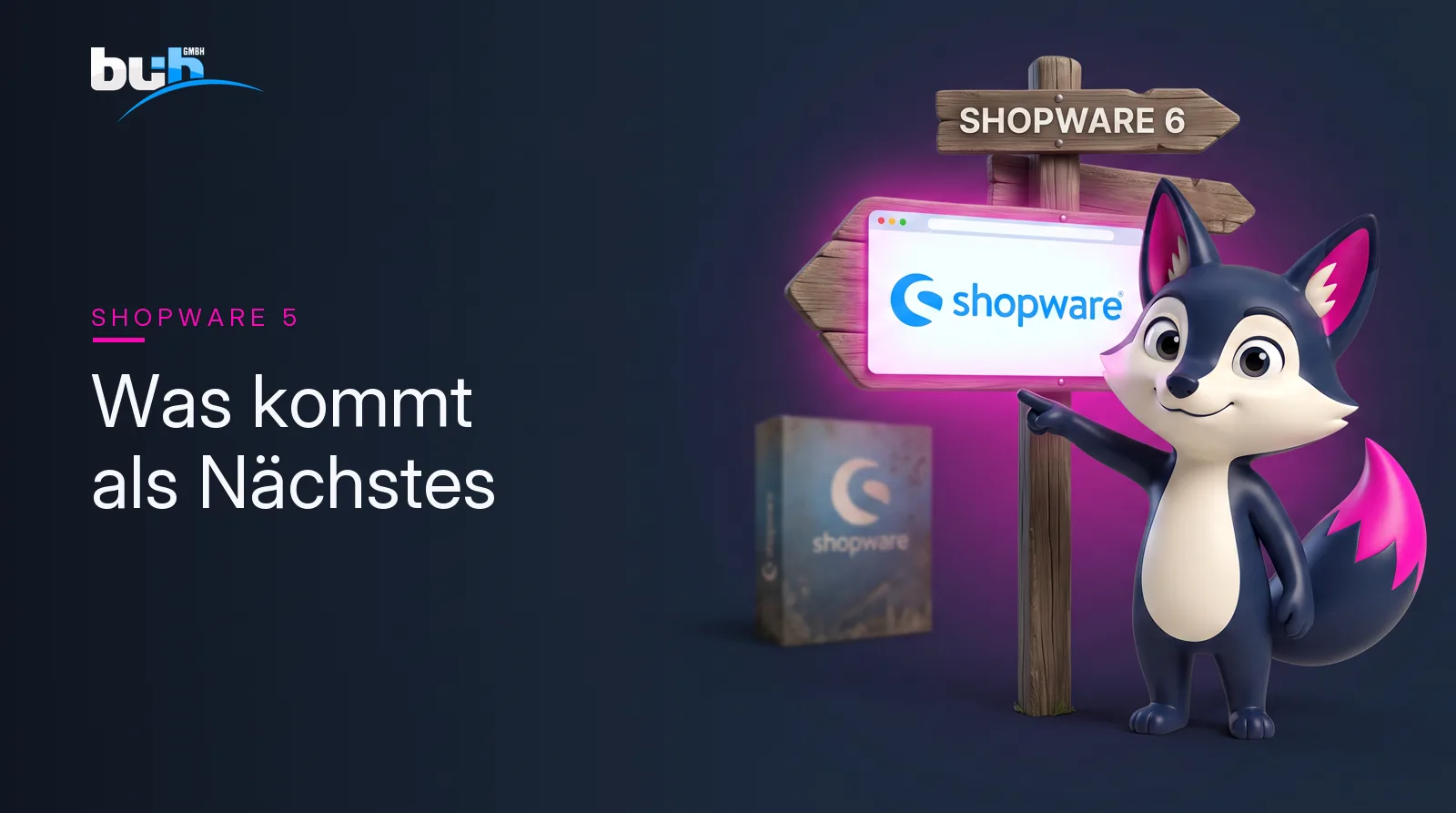 Shopware 5 ohne Support weiterbetreiben: was das wirklich kostet